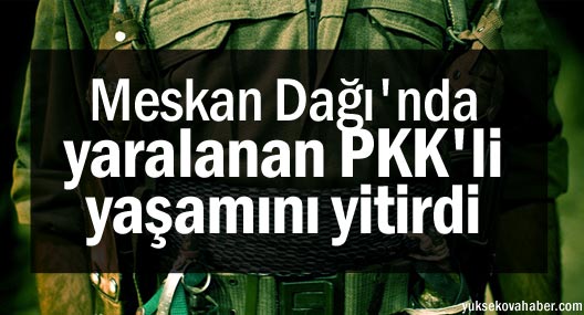 Meskan Dağı'nda yaralanan PKK'li yaşamını yitirdi