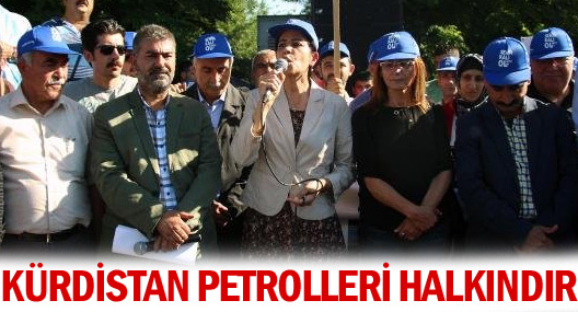 Batman'da Tpao İşçilerinden, Özelleştirme Tepkisi