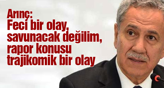 Arınç: Feci bir olay, savunacak değilim, rapor konusu trajikomik bir olay