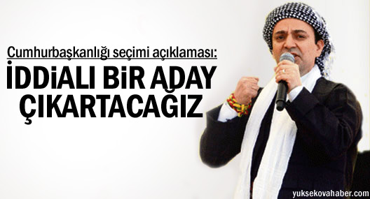 Baydemir'den Cumhurbaşkanlığı seçimi açıklaması