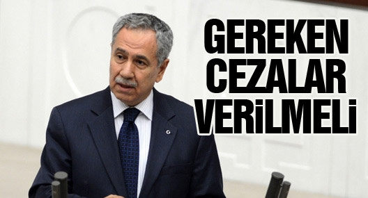 Arınç, Okmeydanı'nda Yaşanan Olaylarla İlgili Konuştu