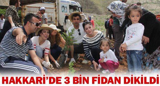 Hakkari’de 3 Bin Fidan Dikildi