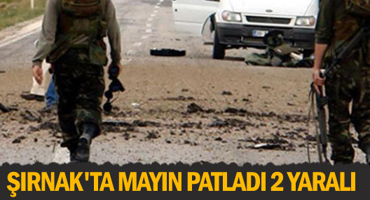 Şırnak'ta mayın patladı 2 yaralı