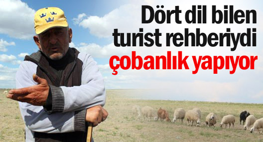 Turist rehberiydi, artık çobanlık yapıyor