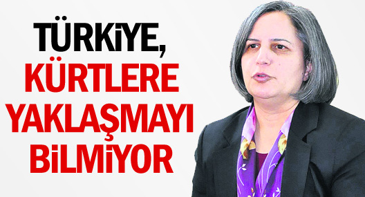 Türkiye, Kürtlere yaklaşmayı bilmiyor