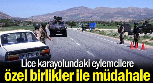Lice'deki eylemcilere özel birlikler ile müdahale