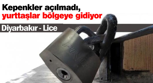 Lice'de kepenkler açılması, yurttaşlar operasyon bölgesine gidiyor