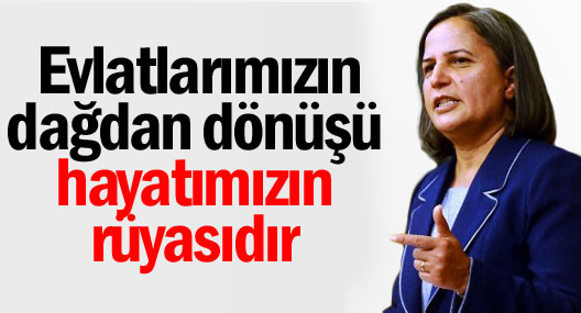 Kışanak: Evlatlarımızın dağdan dönüşü hayatımızın rüyasıdır