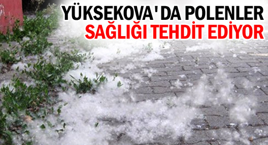 Yüksekova'da polen hayatı olumsuz etkiliyor