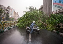 Şiddetli fırtına 5 can aldı