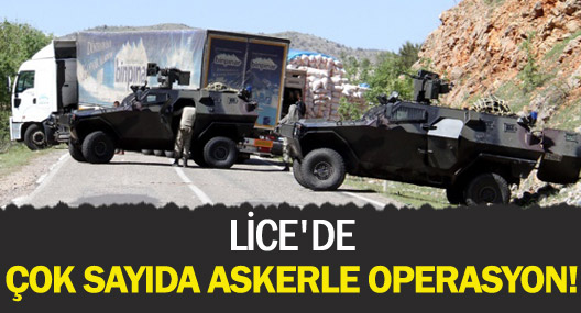 Lice'de çok sayıda askerle müdahale yapılıyor