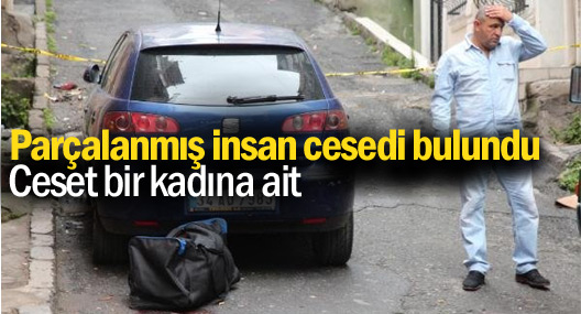 Parçalanmış insan cesedi bulundu