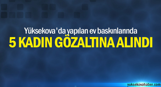 Yüksekova'da 5 kadın gözaltına alındı