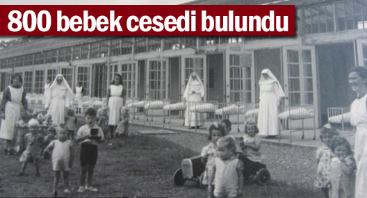 800 bebek cesedi bulundu