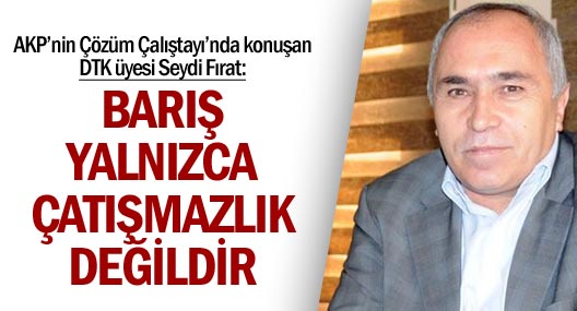 Seydi Fırat: Barış yalnız çatışmasızlık değildir