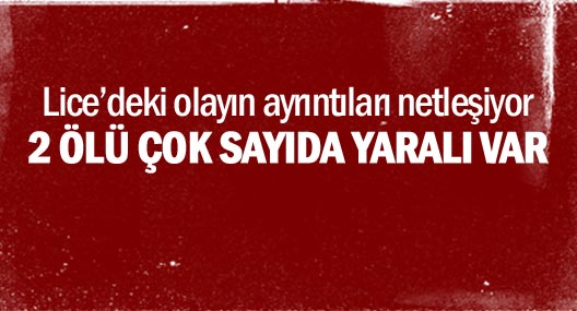Lice’deki olayın ayrıntıları netleşiyor
