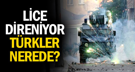 Lice direniyor Türkler nerede?