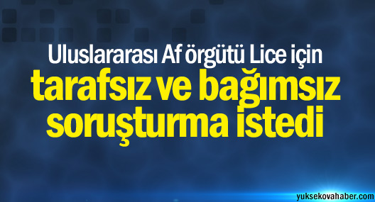 Uluslararası Af örgütü Lice için tarafsız ve bağımsız soruşturma istedi