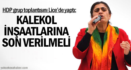 HDP grup toplantısını Lice’de yaptı