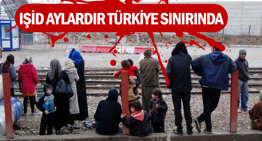 IŞİD, Aylardır Türkiye Sınırında