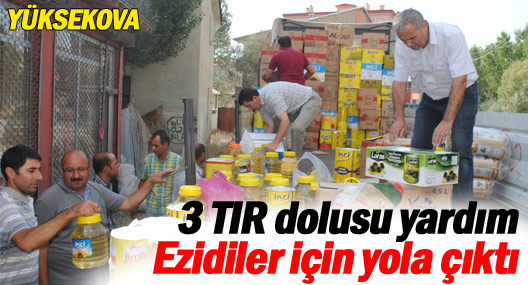 Yüksekova'daki 3 TIR dolusu yardım Ezidiler için yola çıktı