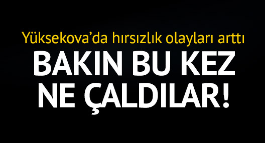 Yüksekova'da hırsızlar bu kez araba çaldı