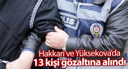 Hakkari ve Yüksekova'da 13 gözaltı