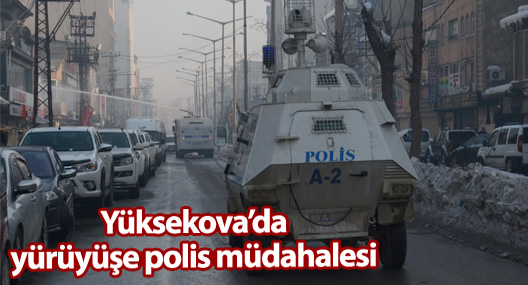 Yüksekova'da yürüyüşe müdahale