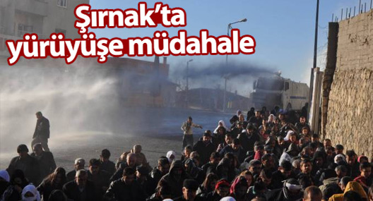 Şırnak'ta yürüyüşe polis müdahalesi