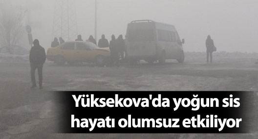 Yüksekova'da yoğun sis hayatı olumsuz etkiliyor