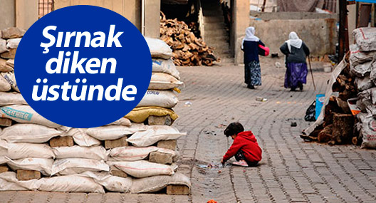 Şırnak diken üstünde