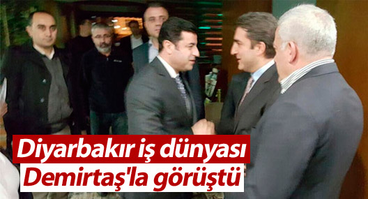 Diyarbakır iş dünyası Demirtaş'la görüştü