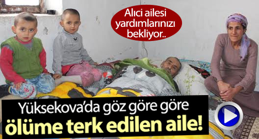 Yüksekova'da ölüme terk edilen Alıci ailesi yardım bekliyor