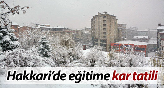 Hakkari'de okullar tatil edildi