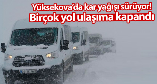Yüksekova'da kar yağışı sürüyor! Birçok yol ulaşıma kapandı