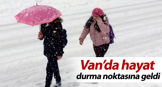 Van’da hayat durma noktasına geldi