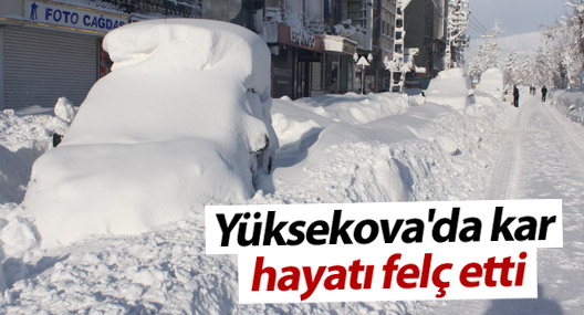 Yüksekova'da kar hayatı felç etti