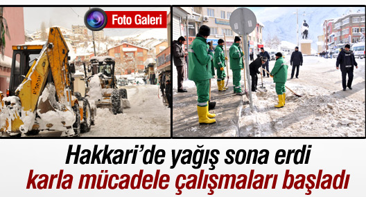 Hakkari'de karla mücadele başladı