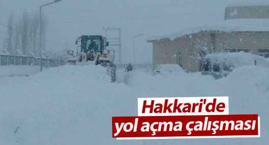 Hakkari'de yol açma çalışması
