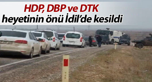 HDP, DBP ve DTK heyetinin önü İdil’de kesildi