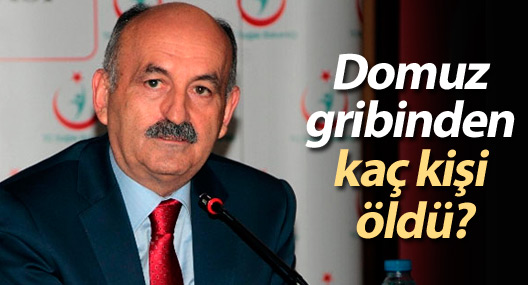 Domuz gribinden kaç kişi öldü?