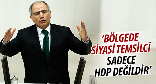 Efkan Ala: Bölgede siyasi temsilci sadece HDP değildir
