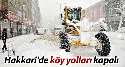 Hakkari'de köy yolları kapalı