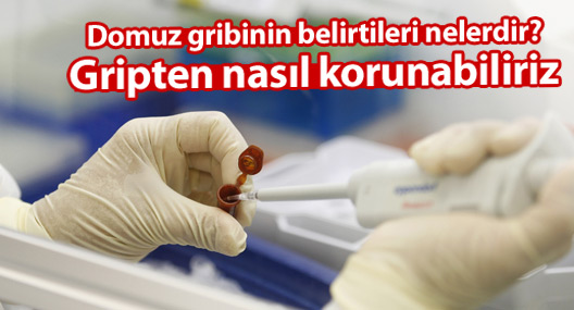 Domuz gribinin belirtileri nelerdir? Gripten nasıl korunabiliriz?