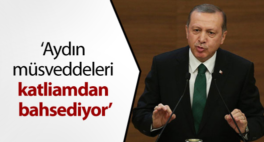 Erdoğan: Aydın müsveddeleri katliamdan bahsediyor