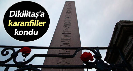 Dikilitaş'a karanfiller kondu