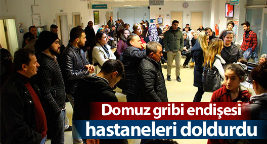 Domuz gribi endişesi hastaneleri doldurdu