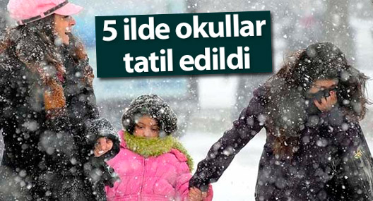 Kar yağışı nedeniyle 5 şehirde okullar tatil edildi