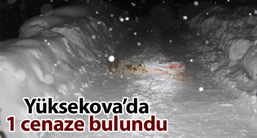 Yüksekova'da 1 cenaze bulundu