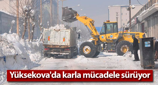 Yüksekova'da kar temizleme çalışmaları